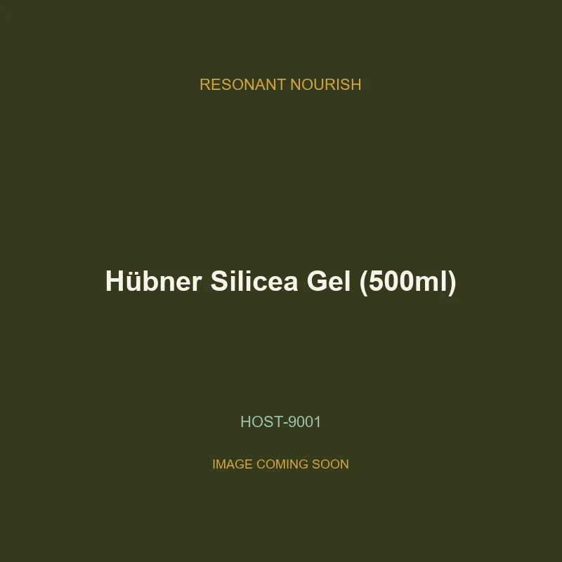 Hübner Silicea Gel (500ml)